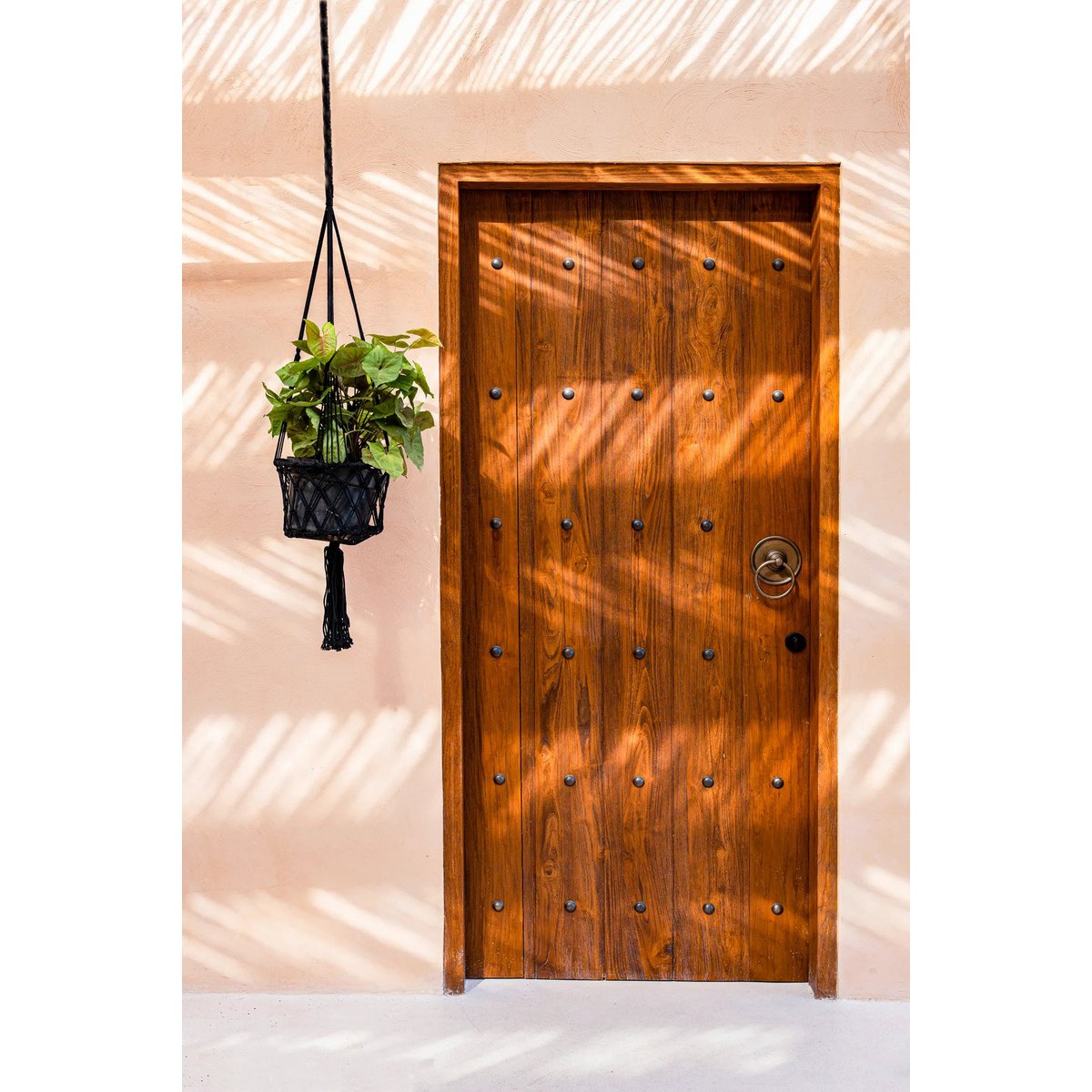 El Macrame Plant Holder - Black - M