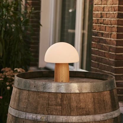 Cordless Table Lamp - Light Brown Dimmable Accent Lamp