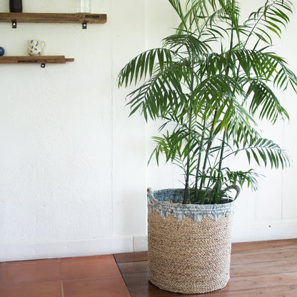 Panier à linge NIAS | Panier de plantes | Grand panier de stockage en varech (2 tailles)