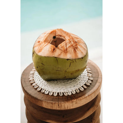 Seagrass Coaster with Shells – White Decorative Pan Coaster