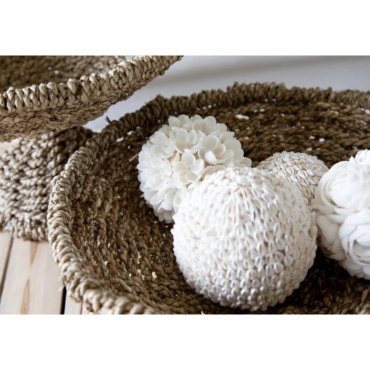 Shell Ball Decor - White Bubble Shell - Medium Size