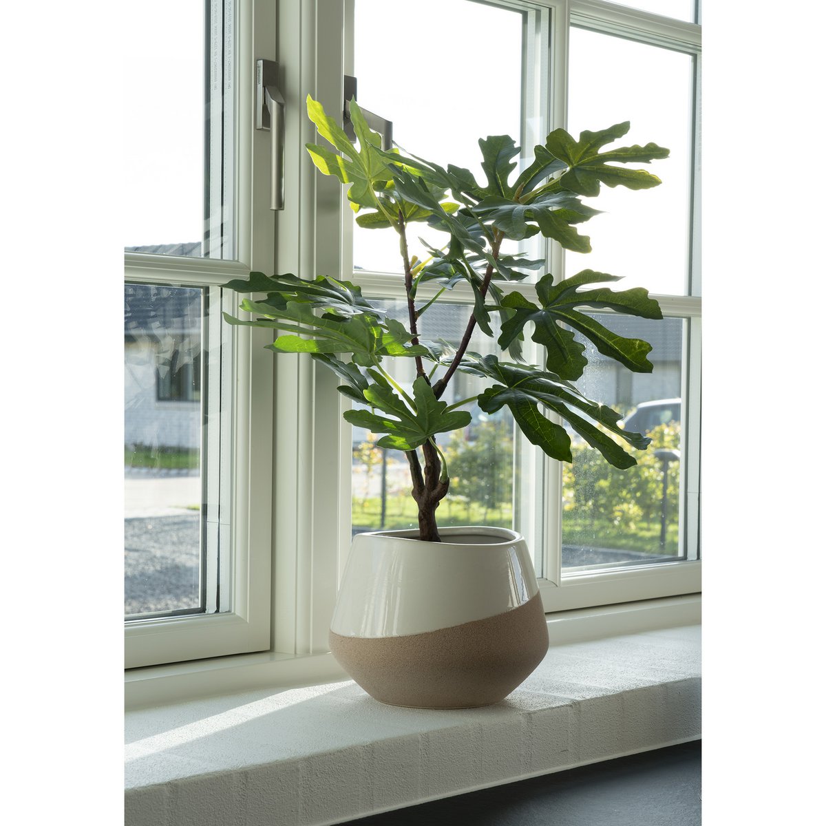 Fig Tree - Green, PE Plastic, H:60 cm