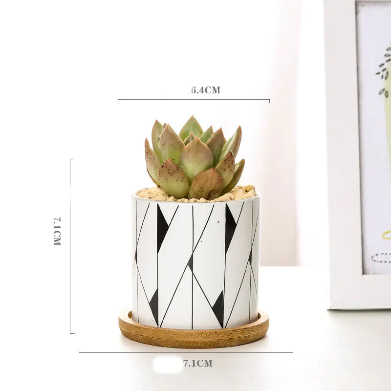 Geometric Ceramic Succulent Planter - Nordic Style - JUGLANA