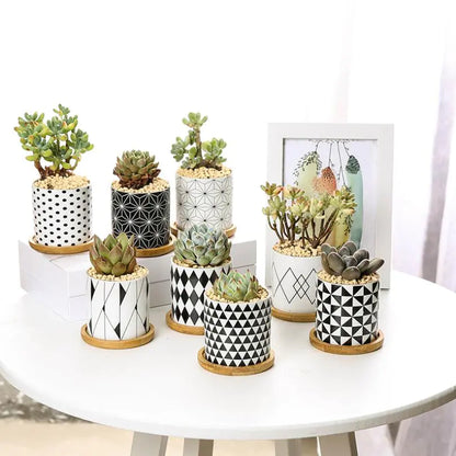 Geometric Ceramic Succulent Planter - Nordic Style - JUGLANA
