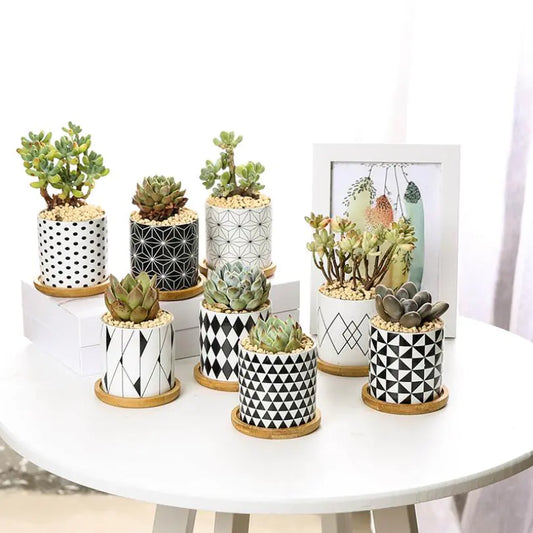 Geometric Ceramic Succulent Planter - Nordic Style - JUGLANA