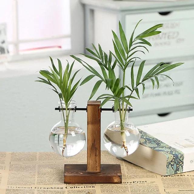 Hydroponic Flower Pots | Wood & Glass - JUGLANA