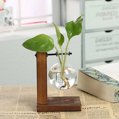hydroponic plant stand Wood and Glass Hydroponic Flower Pots – JUGLANA