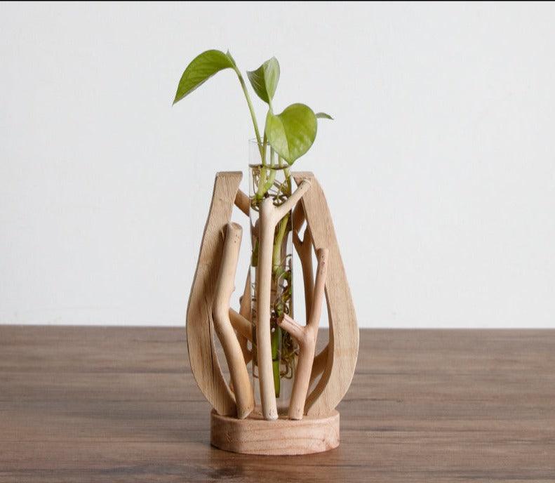 Unique Wood Vase | Hydroponic Decoration - JUGLANA