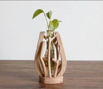 Unique Wood Vase | Hydroponic Decoration - JUGLANA