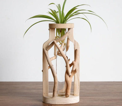 Unique Wood Vase | Hydroponic Decoration - JUGLANA